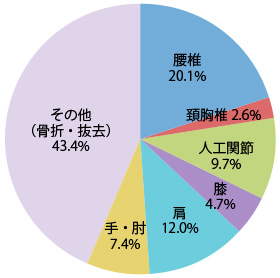 手術内容円グラフ